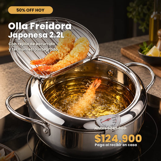 Olla Freidora Japonesa