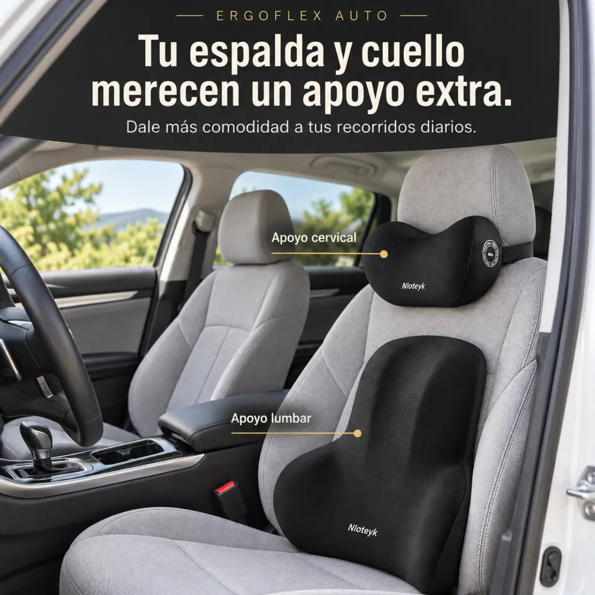 ErgoFlex – Conduce con Mayor Comodidad y Mejor Postura